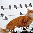 ���� ����, ������, 74 ���� - ��������� 13 ���� 2016 � ������ ���� ����������