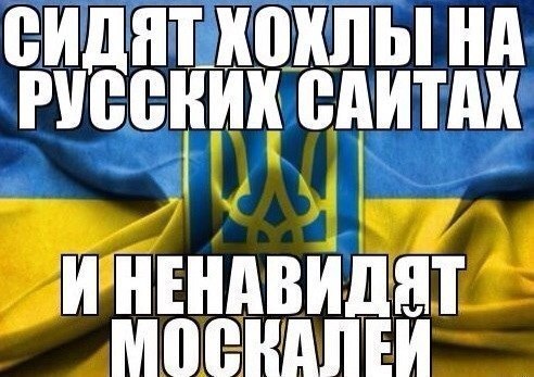   - 2  2016  02:02
