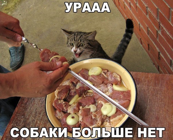    :D - 30  2016  14:38