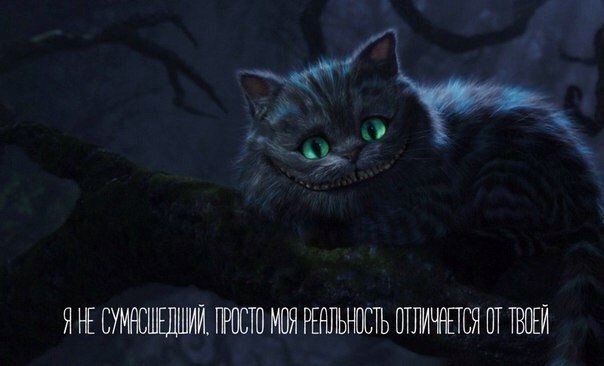 ������ �������� �������� - ���������� ���� - 7