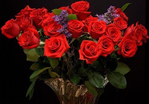 http://wallpapers1920.ru/img/picture/Jul/25/3d677f80461f44b35ee5627f61db9fca/6.jpg