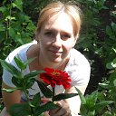 ���� ��������, ���������, 44 ���� - ��������� 15 ������� 2016 � ������ ���