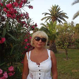 , 53, 
