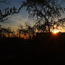 ���� ����, �����-���������, 39 ��� - ��������� 7 ��� 2016 � ������ ������ ��������