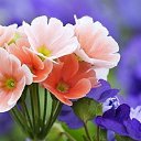 ���� ��������� ���������, ��������� - ��������� 23 ��� 2016 � ������ ���� ����������