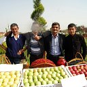  ,  -  15  2016    13 һ