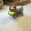 ���� ����, ������, 65 ��� - ��������� 12 ����� 2016