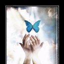 ���� �����, �������� - ��������� 17 ���� 2016 � ������ ���� ����������