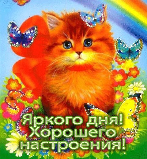  !!!)))