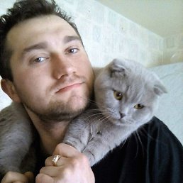  , , , 37  -  25  2016