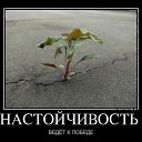 ���� �����, ������, 44 ���� - ��������� 20 ����� 2016 � ������ ������ ��������