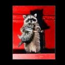 ���� ����, ��������, 55 ��� - ��������� 19 ���� 2016