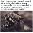 ���� ���, ����, 45 ��� - ��������� 29 ����� 2016 � ������ �����Ȼ