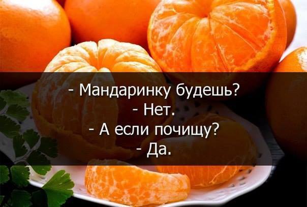 ������� - 4 ������� 2016 � 07:27