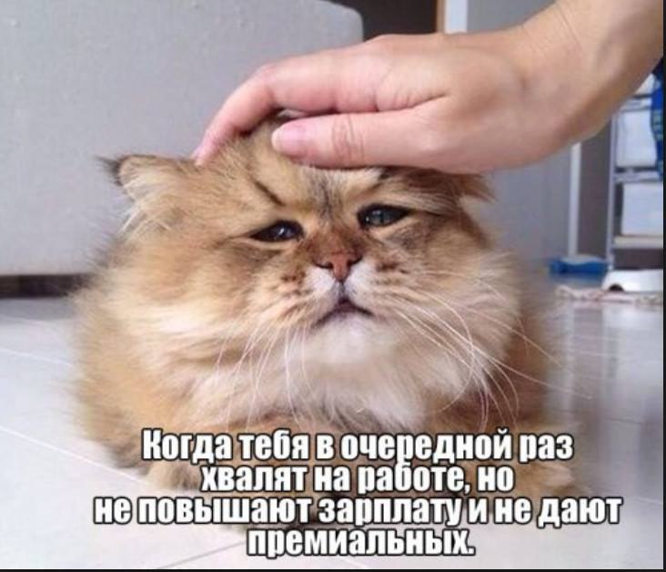 )))