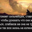 ���� �����, ���������, 43 ���� - ��������� 24 ������� 2016 � ������ ������ ��������