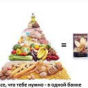  , , 49  -  19  2016   ,     !