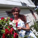  ,  , 52  -  22  2016    