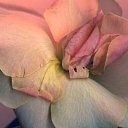 ���� ����, ������ - ��������� 27 ��� 2016 � ������ �������� ������ �����