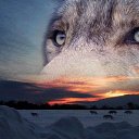 ���� �����, �������� - ��������� 12 ���� 2016 � ������ ���� ����������