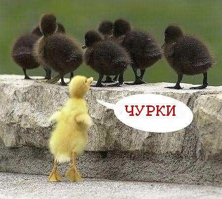    ! <a href=