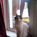 ���� ��������, ������ - ��������� 3 �������� 2016 � ������ ���� ����������