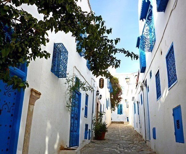    -  .#@travel.blog - 2