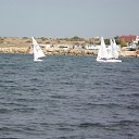 ���� �����, �������� - ��������� 12 ��� 2016 � ������ ���� ����
