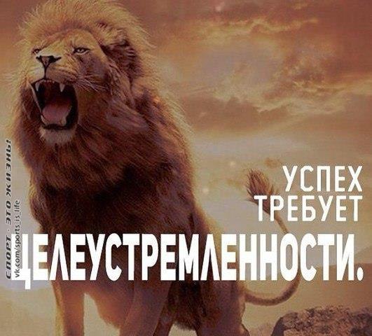  -   - 5  2016  09:12