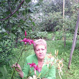 ���� �������, ���� - ��������� 24 ��� 2016