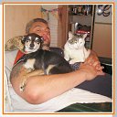 ���� ������, ������, 59 ��� - ��������� 29 ����� 2016