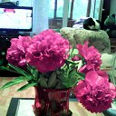 �������� ��������))) �� ������� ���� ����������