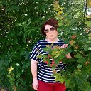 ���� 2016 ��� �� ������� ���� ����������