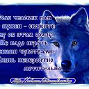 ���� ³����, ��������� - ��������� 3 ���� 2016 � ������ ���� ����������