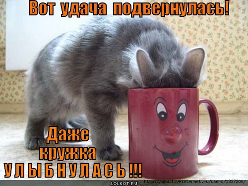  )) - 16  2016  12:28