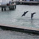 ���� �������, �����-���������, 45 ��� - ��������� 15 ������ 2016 � ������ ��������