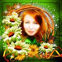  , , 54  -  21  2016    2016