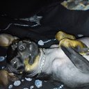 ��� ������ �� ������� ������ ��������