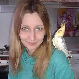 ���� ������, ����������, 39 ��� - ��������� 12 ����� 2016