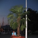 ���� Elena_br (����� 295), �����-���������, 59 ��� - ��������� 7 ������ 2016 � ������ �������_2008�