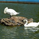  Alka&alka, , 57  -  5  2016
