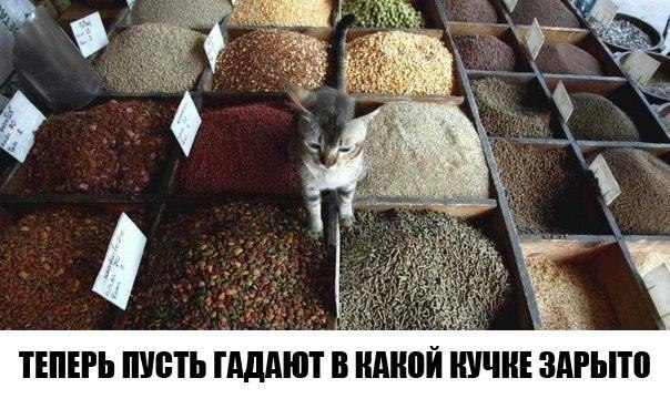 ? ,  ! - 2  2016  14:56