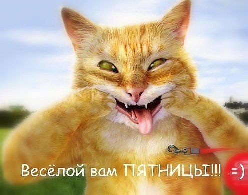 ***Victoria Viktorovna*** - 29  2016  15:03