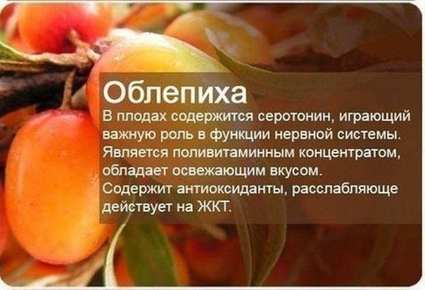 ,    ! - 2