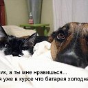 ���� Harut, ������ - ��������� 2 �������� 2016 � ������ ������ ��������