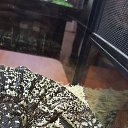 ���� ������, ������, 51 ��� - ��������� 25 ������ 2016 � ������ �����������-11�