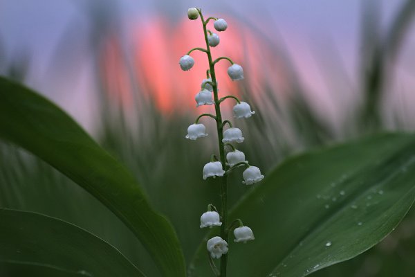  ! - 31  2016  22:05