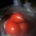  Not Bad, --, 36  -  3  2016    