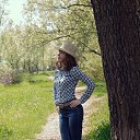 ���� �������, ���������, 43 ���� - ��������� 23 ���� 2016 � ������ ���� ����������