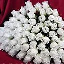 ���� ������..., ������, 55 ��� - ��������� 3 ������� 2016 � ������ ������ ��������